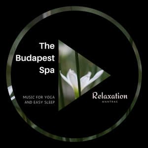 The Budapest Spa - Music for Yoga and Easy Sleep - Spa Zen