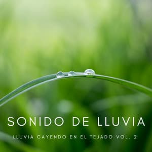 Sonido De Lluvia: Lluvia Cayendo En El Tejado Vol. 2 - Calma y Relajación