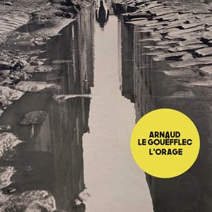 L'Orage - Arnaud Le Gouëfflec