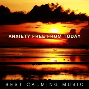 Anxiety Free from Today: Best Calming Music, Relaxing Mindfulness Meditation, Stress Free Zone, Spiritual Healing, Yoga, Reiki, Massage - Deep Sleep Maestro