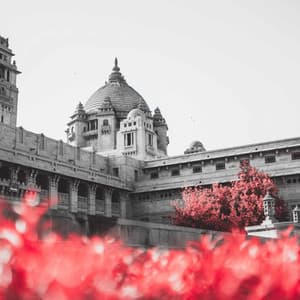 Music for Team Choices - Lo-Fi for Sleeping