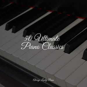 Piano Collection - 50 Essential Sounds - Concentration Music Ensemble