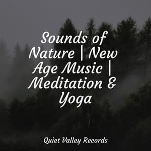 Sounds of Nature | New Age Music | Meditation & Yoga - Nature Sounds XLE Library