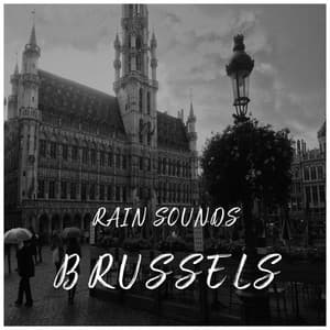 Rain Sounds in Brussels - Rain Sounds Around the World