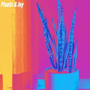 Plants & Joy - Sunday Evening Music