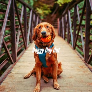 Doggy Day Out - Relaxing Dog Music Beats