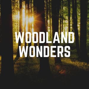 Woodland Wonders - Florida Nature