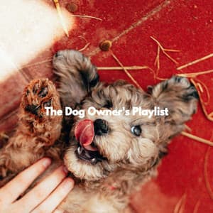 The Dog Owner's Playlist - Relax My Puppy