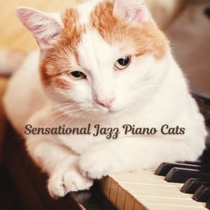 Sensational Jazz Piano Cats - Chill Jazz