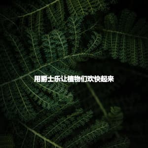 用爵士乐让植物们欢快起来 - Coffeeshop Smooth Jazz Playlist Classics
