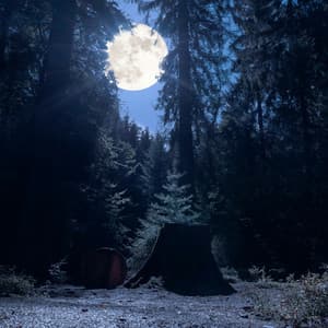 Nighttime Quiet: Soothing Sounds for Peaceful Rest - Frequencies Master