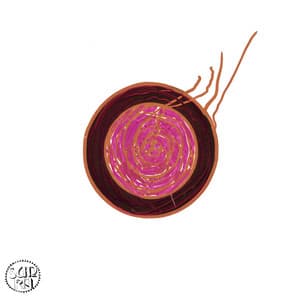 Sleeping Beauty - Sun Ra