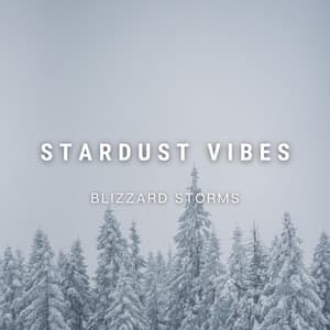 Blizzard Storms - Stardust Vibes