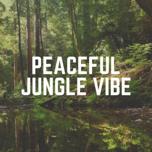 Peaceful Jungle Vibe - Nature's Noise