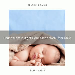 Shush Mom Is Right Here, Sleep Well Dear Child - Astral Noise