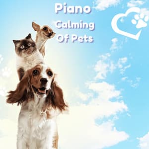Piano Calming of Pets - Piano Peace