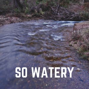 So Watery - River Sounds