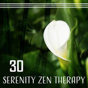 30 Serenity Zen Therapy: Melodies to Create Peaceful State of Mind, Calming Meditation Music for Anxiety & Insomnia - Mind State Zen Dimension