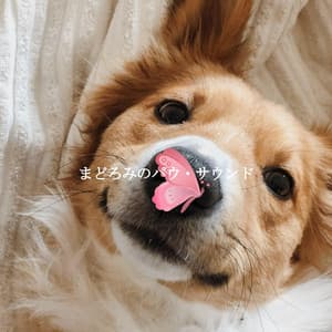 まどろみのパウ・サウンド - Relaxing Jazz Cafe