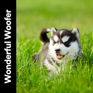 Wonderful Woofer - Music for Sleeping Puppies
