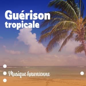 Guérison tropicale : Musique hawaïenne relaxante pour une tranquillité extrême du corps et de l'esprit, Méditation, Spa, Yoga - Oasis de Musique Nature Relaxante