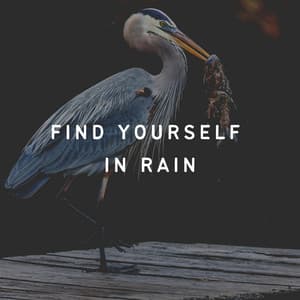 Find Yourself in Rain - Rain Sounds for Relaxation