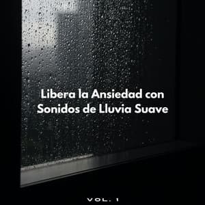 Libera La Ansiedad Con Sonidos De Lluvia Suave Vol. 1 - Lluvia Soundzzz Club