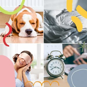 Indian Chill Out Music - Ambiance for Sleeping In - Afternoon Recharge