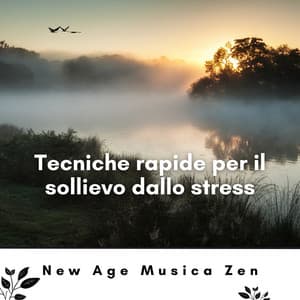 Tecniche rapide per il sollievo dallo stress - New Age Musica Zen
