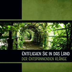 Entfliehen Sie in das Land der Entspannenden Klänge - Entspannungsmusik Welt