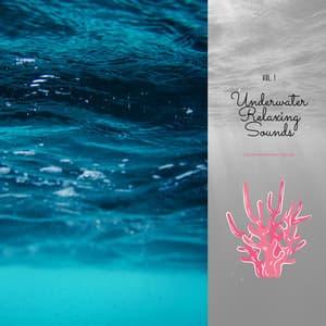 Underwater Relaxing Sounds Vol. 1 - Goodmorning Relax