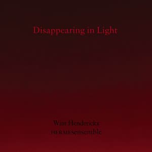 Disappearing in Light - Wim Henderickx