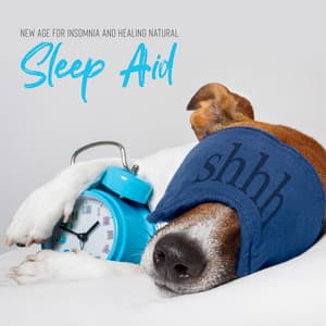 New Age for Insomnia and Healing Natural Sleep Aid: Sleep Music to Help You Relax All Night, Moon Light Piano, Flute & Calm Sea Waves - Sleep & Dream Music Academy