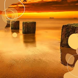 Personal Wellness - Paradise Like - Musica da Lavoro