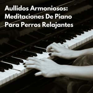 Aullidos Armoniosos: Meditaciones De Piano Para Perros Relajantes - Simplemente Piano