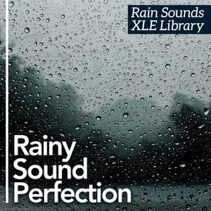 Rainy Sound Perfection - Rain Sounds XLE Library