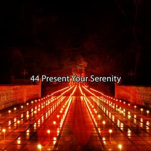 44 Present Your Serenity - Zen Meditation