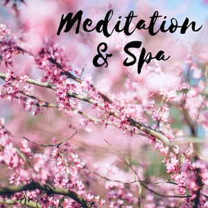 Meditation & Spa: Sound Therapy, Aromatherapy, Wellness, Stress Relief, Well Being & Serenity - Nature Sounds Spa Therapy