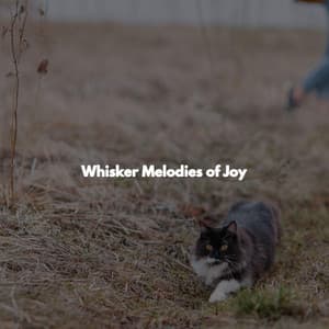 Whisker Melodies of Joy - Gentle Morning Music