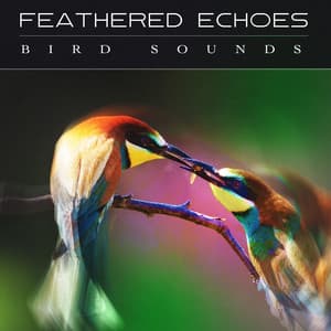 Feathered Echoes - Bird Sounds