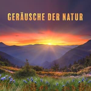 Geräusche der Natur: Tiefenentspannung Atmosphäre - Entspannungsmusik Welt