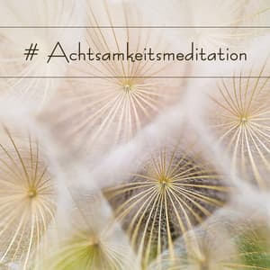 # Achtsamkeitsmeditation: 2 Stunden Meditationsmusik mit Naturgeräuschen - Buddhistische Meditationszone