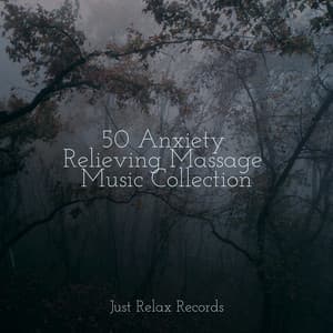 50 Anxiety Relieving Massage Music Collection - Lullabies for Deep Meditation