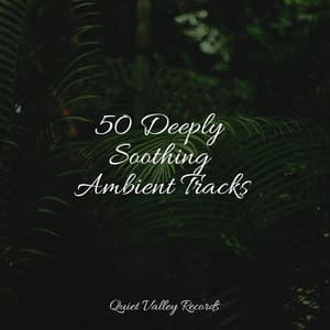 50 Deeply Soothing Ambient Tracks - Massage Therapy Music