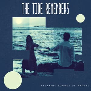 The Tide Remembers - Relaxing Sounds Of Nature