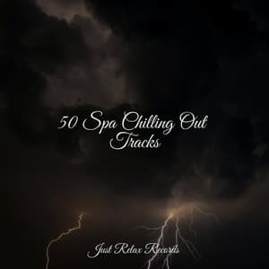 50 Spa Chilling Out Tracks - Study Music & Sounds