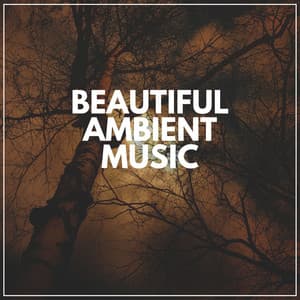 Beautiful Ambient Music - Ambient Sample Library