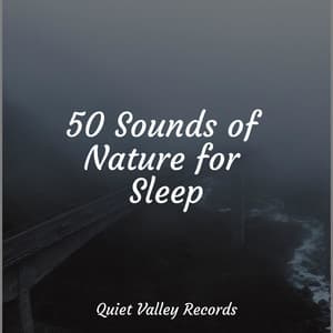 50 Sounds of Nature for Sleep - Sons da Natureza Relax