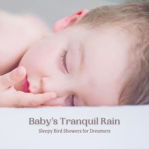 Baby's Tranquil Rain: Sleepy Bird Showers for Dreamers - Nature and Rain