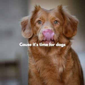 Cause it's time for dogs - Tuesday Morning Jazz Playlist